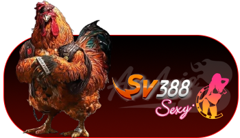 sabung ayam