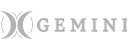 icon gemini